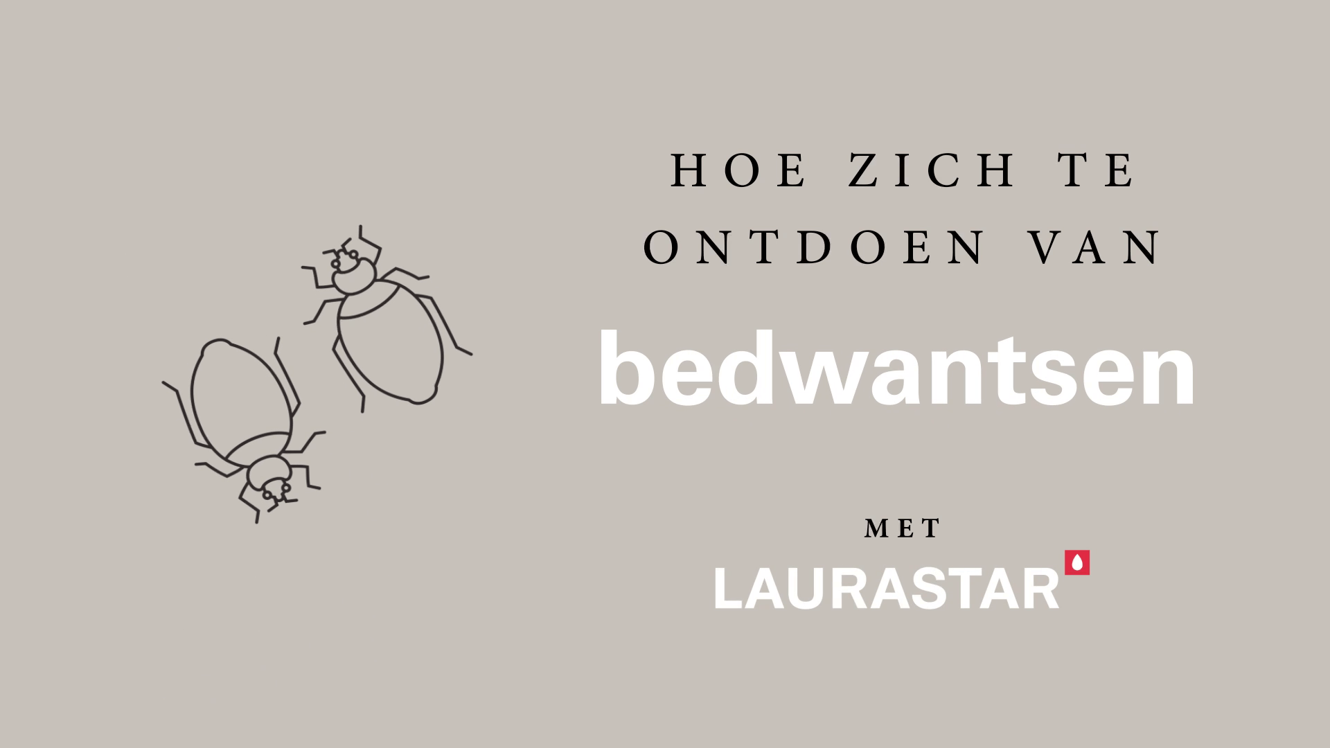 Hoe zich ontdoen van bedwantsen met de Laurastar IZZI stomer